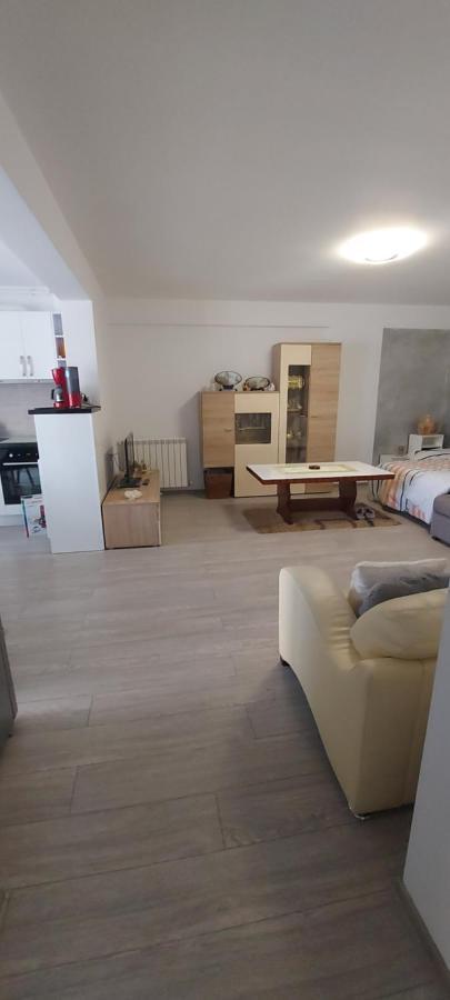 Apartmán Apartament Nina Năvodari Exteriér fotografie