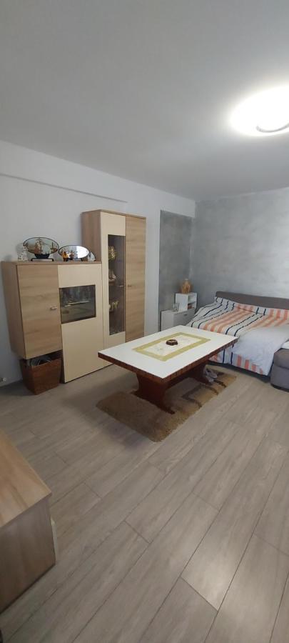 Apartmán Apartament Nina Năvodari Exteriér fotografie