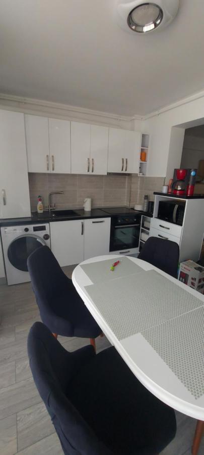 Apartmán Apartament Nina Năvodari Exteriér fotografie